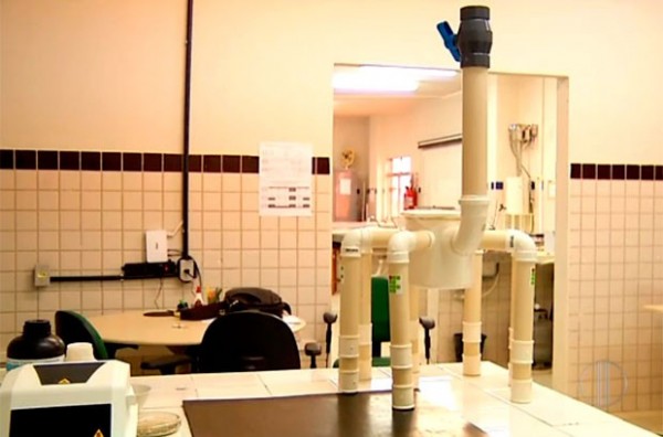 As 'patas do bicho' possuem argila, que filtram as impurezas e deixam a água boa para o consumo (Foto: Reprodução/Inter TV Cabugi)