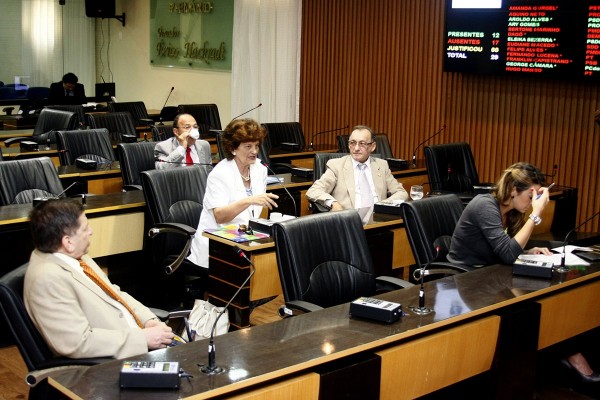 Vereadores decidiram manter o feriado (Foto: Marcelo Barroso)