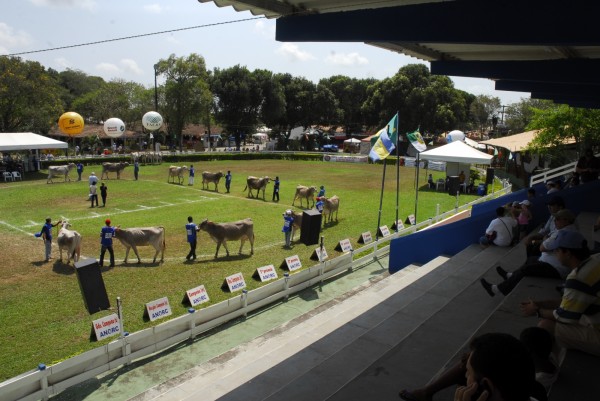 Festa do Boi deste ano pode ser uma abertura para os mercados nacionais e internacionais. (Foto: Ney Douglas)