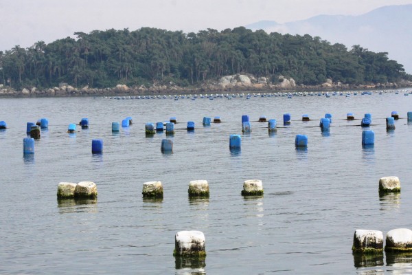 Foto: www.pmsj.sc.gov.br