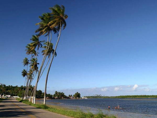 Coqueirais na praia de Barra de Cunhaú, no litoral Sul potiguar (Foto: Canindé Soares)
