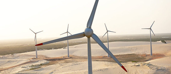 Foto:sustentabilidade.allianz.com.br