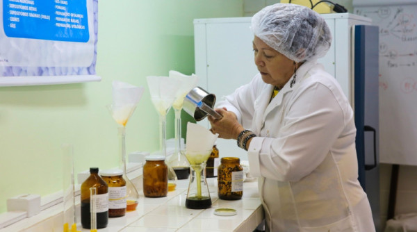 Pesquisadora da UFRN utilizou bioativo da folha do Melão de São Caetano para desenvolver remédio homeopático. (Foto; Wallacy Medeiros)