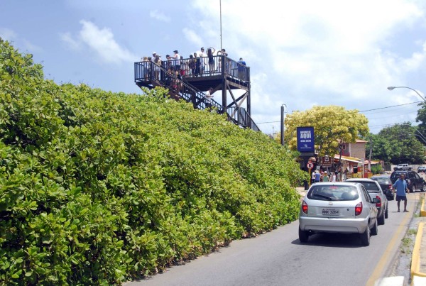 Em um mirante, turistas apreciam  vista da árvore. (Foto: Ney Douglas)